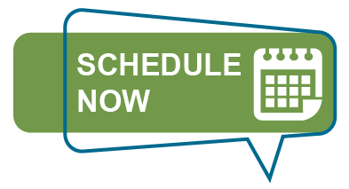 Schedule Now Icon
